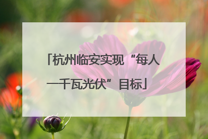 杭州临安实现“每人一千瓦光伏”目标