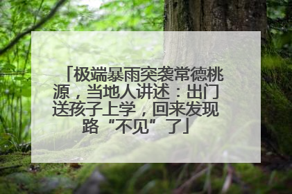 极端暴雨突袭常德桃源，当地人讲述：出门送孩子上学，回来发现路“不见”了