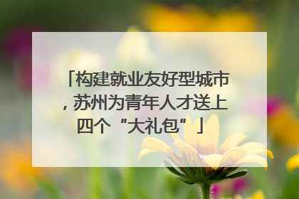 构建就业友好型城市，苏州为青年人才送上四个“大礼包”
