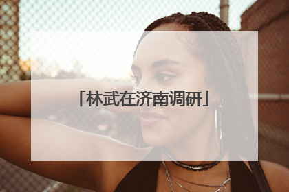 林武在济南调研