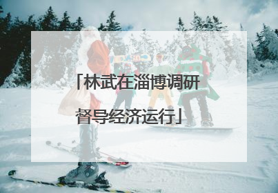 林武在淄博调研督导经济运行