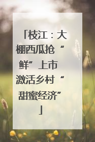 枝江：大棚西瓜抢“鲜”上市 激活乡村“甜蜜经济”