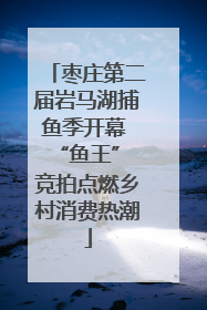 枣庄第二届岩马湖捕鱼季开幕 “鱼王” 竞拍点燃乡村消费热潮