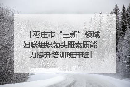 枣庄市“三新”领域妇联组织领头雁素质能力提升培训班开班