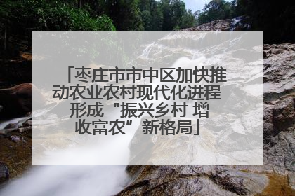 枣庄市市中区加快推动农业农村现代化进程 形成“振兴乡村 增收富农”新格局