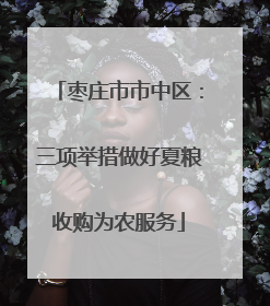 枣庄市市中区：三项举措做好夏粮收购为农服务