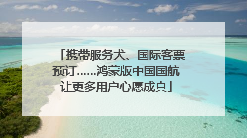 携带服务犬、国际客票预订……鸿蒙版中国国航让更多用户心愿成真