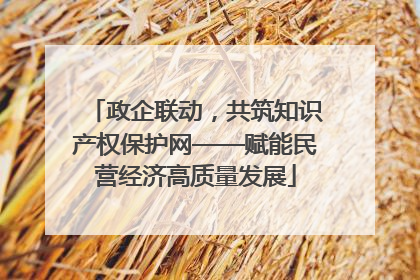 政企联动，共筑知识产权保护网——赋能民营经济高质量发展