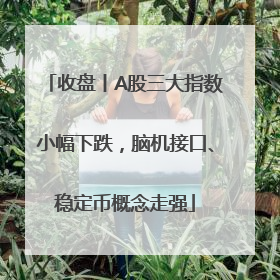 收盘丨A股三大指数小幅下跌，脑机接口、稳定币概念走强
