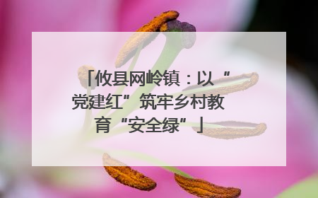 攸县网岭镇：以“党建红”筑牢乡村教育“安全绿”
