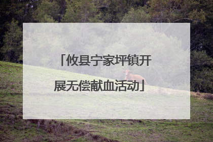 攸县宁家坪镇开展无偿献血活动