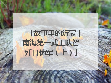 故事里的沂蒙｜南海第一武工队智歼日伪军（上）