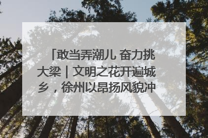 敢当弄潮儿 奋力挑大梁｜文明之花开遍城乡，徐州以昂扬风貌冲刺“万亿之城”