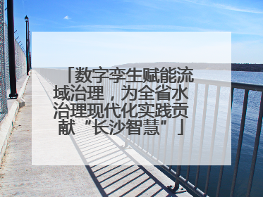 数字孪生赋能流域治理，为全省水治理现代化实践贡献“长沙智慧”