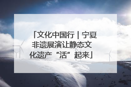 文化中国行｜宁夏 非遗展演让静态文化遗产“活”起来