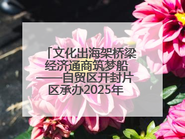 文化出海架桥梁 经济通商筑梦船——自贸区开封片区承办2025年匈牙利文旅交流对接活动专场
