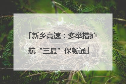 新乡高速：多举措护航“三夏”保畅通