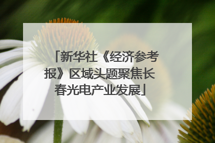 新华社《经济参考报》区域头题聚焦长春光电产业发展