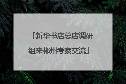 新华书店总店调研组来郴州考察交流