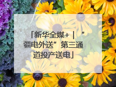 新华全媒+｜“疆电外送”第三通道投产送电