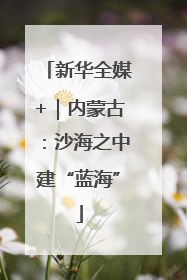 新华全媒+｜内蒙古：沙海之中建“蓝海”