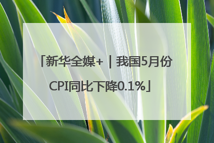 新华全媒+｜我国5月份CPI同比下降0.1%