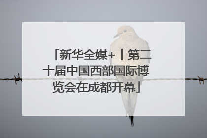 新华全媒+丨第二十届中国西部国际博览会在成都开幕