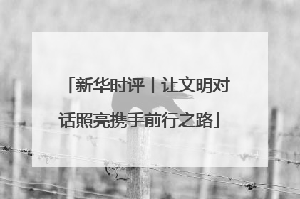 新华时评丨让文明对话照亮携手前行之路