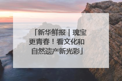 新华鲜报｜瑰宝更青春！看文化和自然遗产新光彩