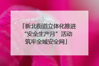 新北街道立体化推进“安全生产月”活动 筑牢全域安全网