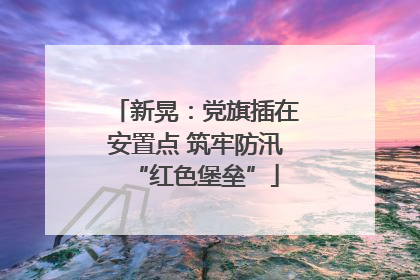 新晃：党旗插在安置点 筑牢防汛“红色堡垒”