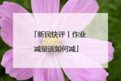 新民快评丨作业减量该如何减