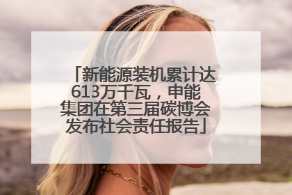新能源装机累计达613万千瓦，申能集团在第三届碳博会发布社会责任报告