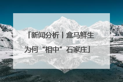 新闻分析丨盒马鲜生为何“相中”石家庄