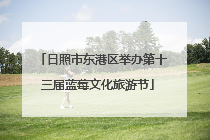 日照市东港区举办第十三届蓝莓文化旅游节