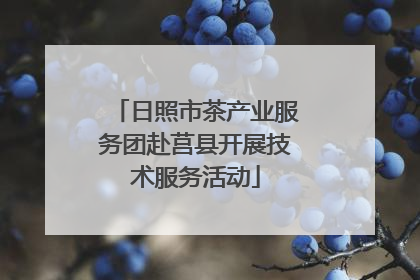 日照市茶产业服务团赴莒县开展技术服务活动