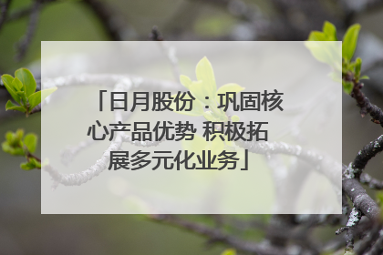 日月股份：巩固核心产品优势 积极拓展多元化业务