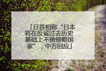 日首相称“日本将在反省过去历史基础上不做侵略国家”，中方回应