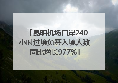 昆明机场口岸240小时过境免签入境人数同比增长977%