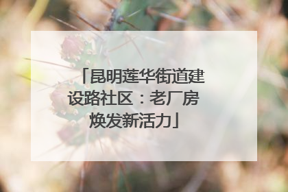 昆明莲华街道建设路社区：老厂房焕发新活力