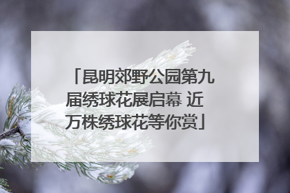 昆明郊野公园第九届绣球花展启幕 近万株绣球花等你赏