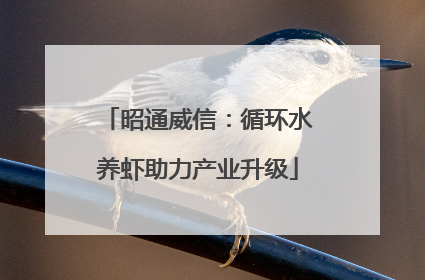 昭通威信：循环水养虾助力产业升级