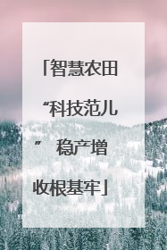 智慧农田“科技范儿” 稳产增收根基牢