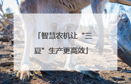 智慧农机让“三夏”生产更高效