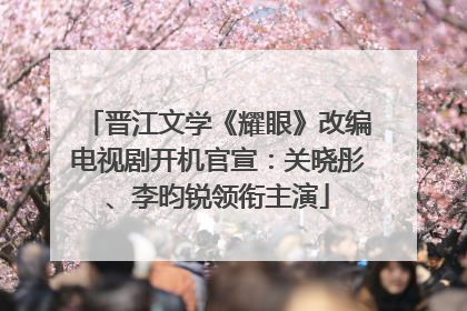 晋江文学《耀眼》改编电视剧开机官宣：关晓彤、李昀锐领衔主演