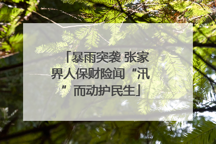 暴雨突袭 张家界人保财险闻“汛”而动护民生