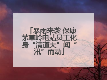 暴雨来袭 保康茅草岭电站员工化身“清道夫”闻“汛”而动