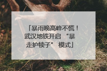 暴雨晚高峰不慌！武汉地铁开启 “暴走护犊子” 模式
