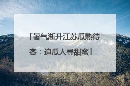 暑气渐升江苏瓜熟待客：追瓜人寻甜蜜