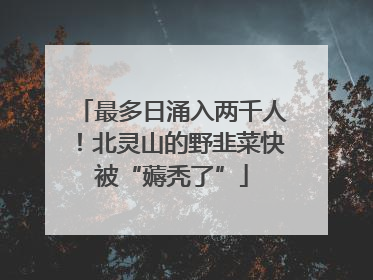 最多日涌入两千人！北灵山的野韭菜快被“薅秃了”